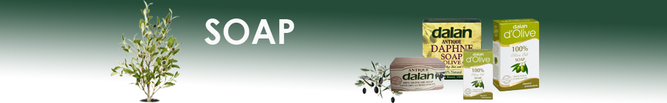 soaptopbanner.jpg